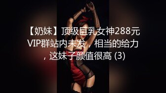 【奶妹】顶级巨乳女神288元VIP群站内未发，相当的给力，这妹子颜值很高 (3)