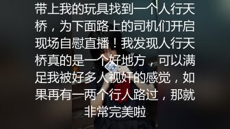 带上我的玩具找到一个人行天桥，为下面路上的司机们开启现场自慰直播！我发现人行天桥真的是一个好地方，可以满足我被好多人视奸的感觉，如果再有一两个行人路过，那就非常完美啦