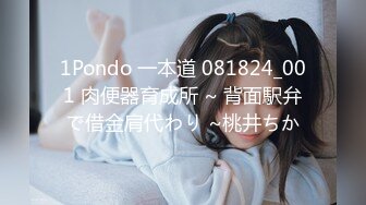 1Pondo 一本道 081824_001 肉便器育成所 ~ 背面駅弁で借金肩代わり ~桃井ちか