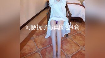 河豚抚子写真图包4套