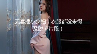 无套插小少妇，衣服都没来得及脱（片段）