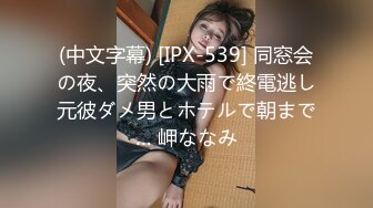 (中文字幕) [IPX-539] 同窓会の夜、突然の大雨で終電逃し元彼ダメ男とホテルで朝まで… 岬ななみ