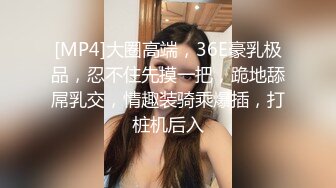 [MP4]大圈高端，36E豪乳极品，忍不住先摸一把，跪地舔屌乳交，情趣装骑乘爆插，打桩机后入