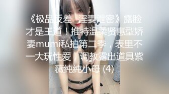 《极品反差✅淫妻泄密》露脸才是王道！推特温柔贤惠型娇妻mumi私拍第二季，表里不一大玩性爱，调教露出道具紫薇纯纯小母 (4)