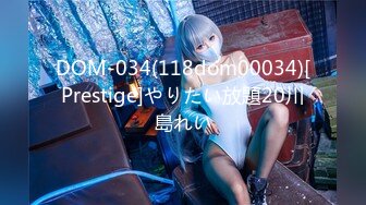 DOM-034(118dom00034)[Prestige]やりたい放題20川島れい