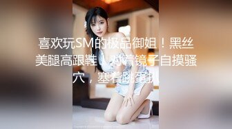 喜欢玩SM的极品御姐！黑丝美腿高跟鞋！对着镜子自摸骚穴，塞着跳蛋扒