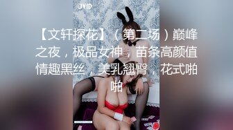 【文轩探花】（第二场）巅峰之夜，极品女神，苗条高颜值情趣黑丝，美乳翘臀，花式啪啪