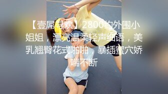 【壹屌寻欢】2800约外围小姐姐，漂亮温柔轻声细语，美乳翘臀花式啪啪，暴插蜜穴娇喘不断