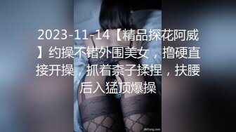 2023-11-14【精品探花阿威】约操不错外围美女，撸硬直接开操，抓着柰子揉捏，扶腰后入猛顶爆操