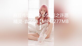 麻豆传媒MSD-055淫之许愿精灵-袁子仪【MP4/277MB】