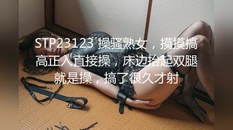 STP23123 操骚熟女，摸摸搞高正入直接操，床边抬起双腿就是操，搞了很久才射