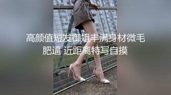 高颜值短发御姐丰满身材微毛肥逼 近距离特写自摸